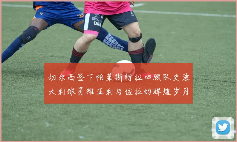 切尔西签下帕莱斯特拉回顾队史意大利球员维亚利与佐拉的辉煌岁月